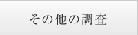 その他の調査