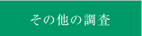 その他の調査